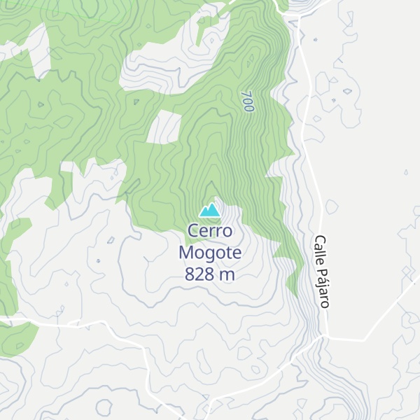 Map of Cerro Mogote