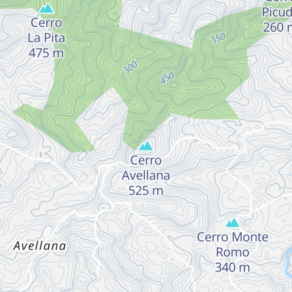 Map of Cerro Avellana