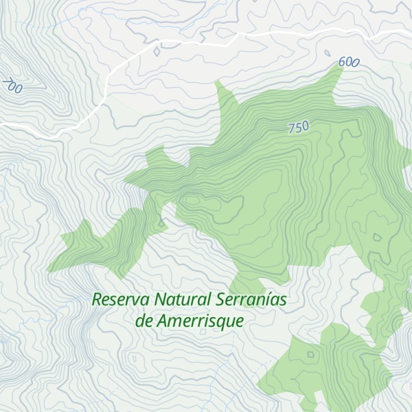 Map of Cerro Buena Vista