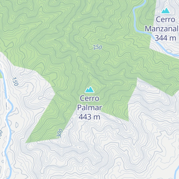 Map of Cerro Palmar
