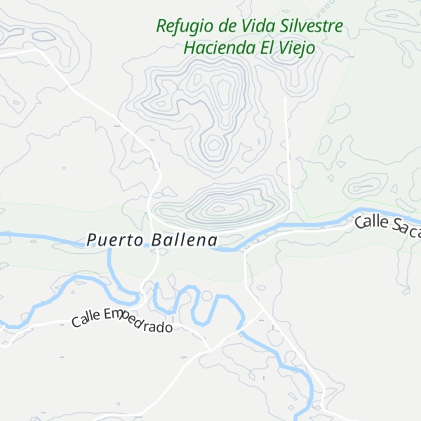 Map of Cerro Ballena