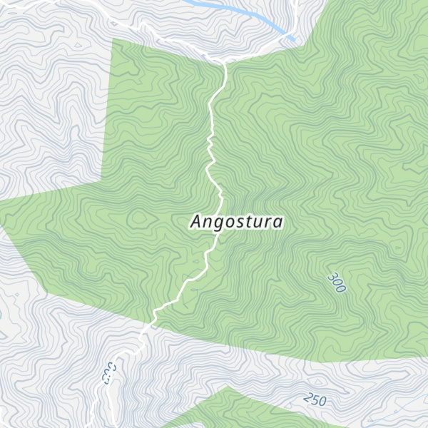 Map of Cerro Angostura