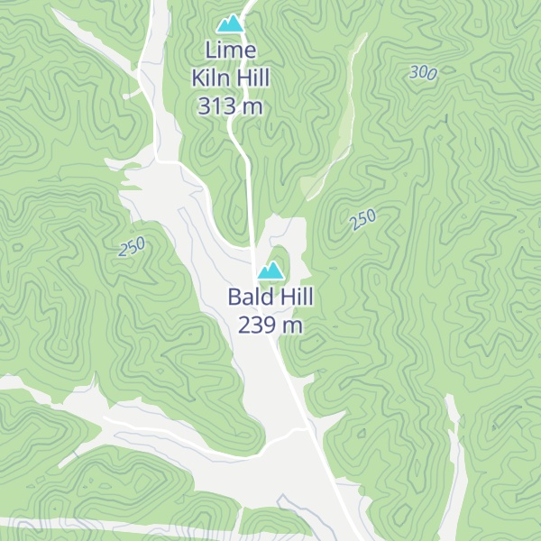 Map of Bald Hill