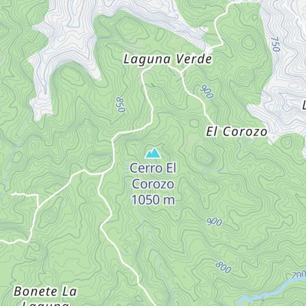 Map of Cerro El Corozo