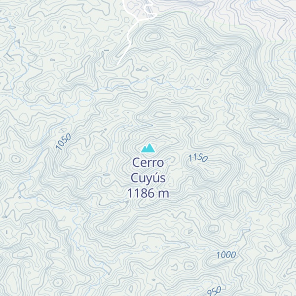 Map of Cerro Cuyús