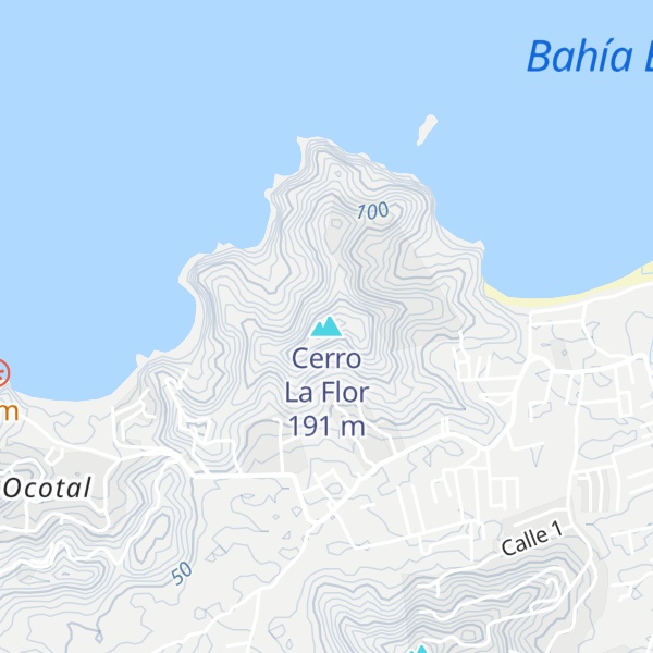 Map of Cerro La Flor