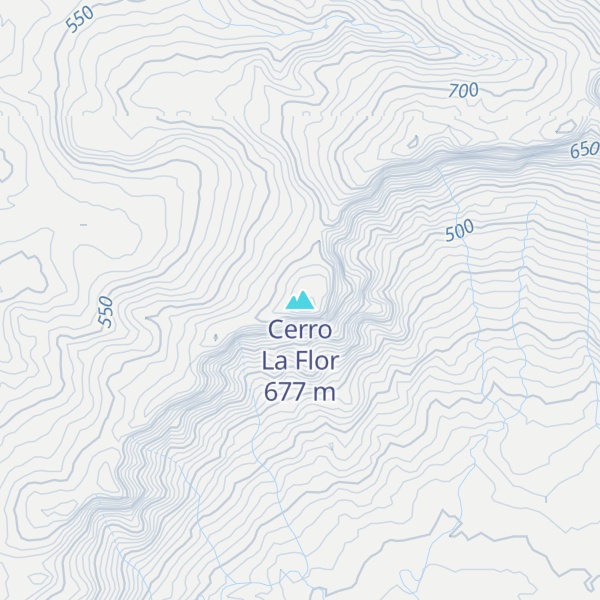 Map of Cerro La Flor