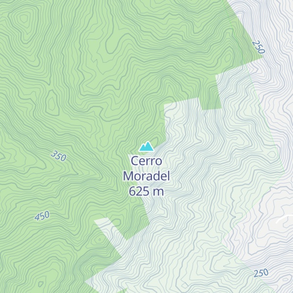 Map of Cerro Moradel