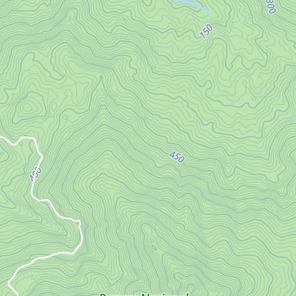 Map of Cerro de Puerto Arturo