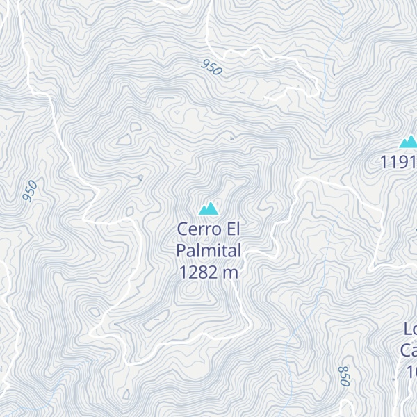 Map of Cerro El Palmital