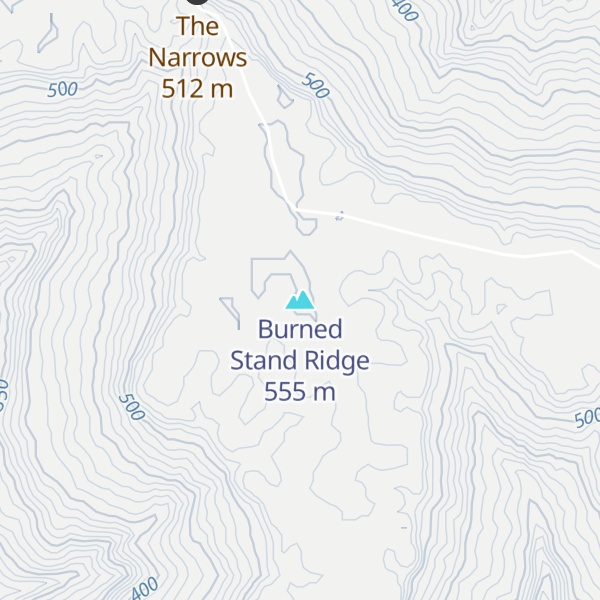 Map of Burned Stand Ridge