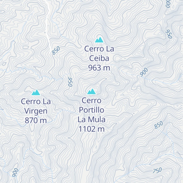 Map of Cerro Portillo La Mula