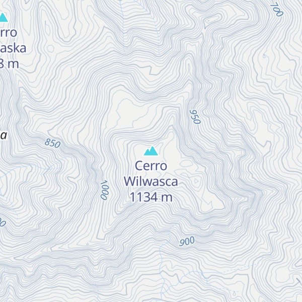 Map of Cerro Wilwasca