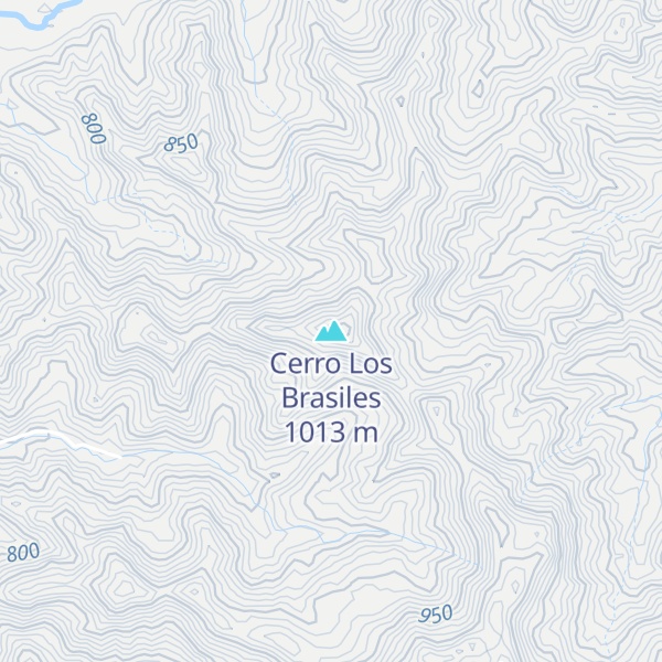 Map of Cerro Los Brasiles