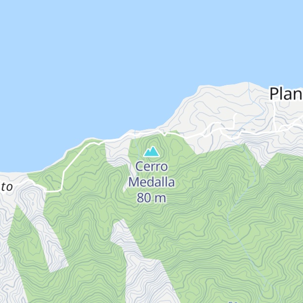 Map of Cerro Medalla