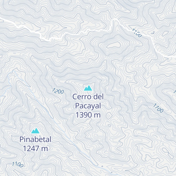 Map of Cerro del Pacayal