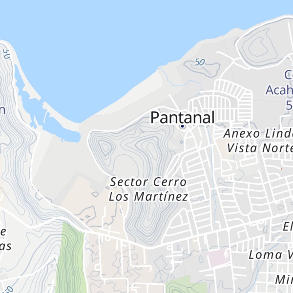 Map of Cerro Los Martínez
