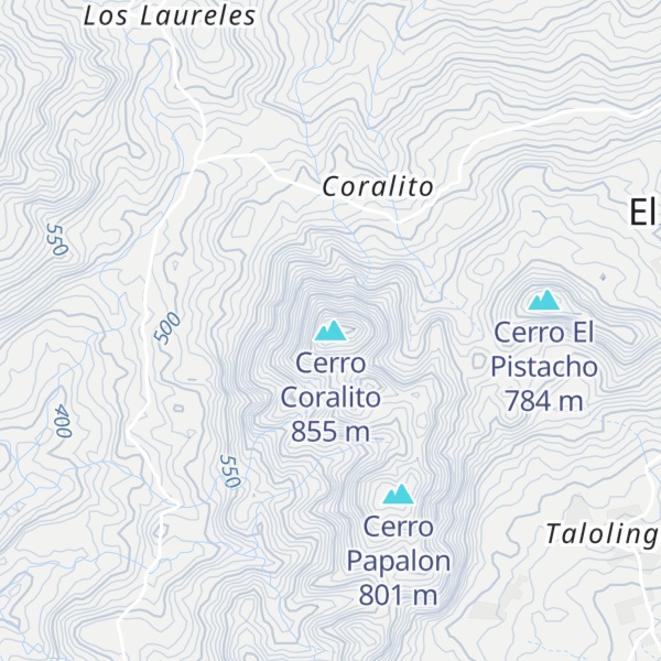 Map of Cerro Coralito