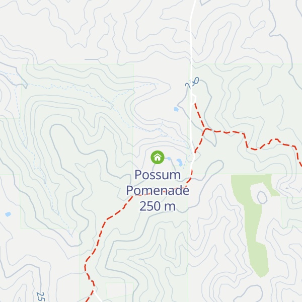 Map of Caroline Parakeet Palace