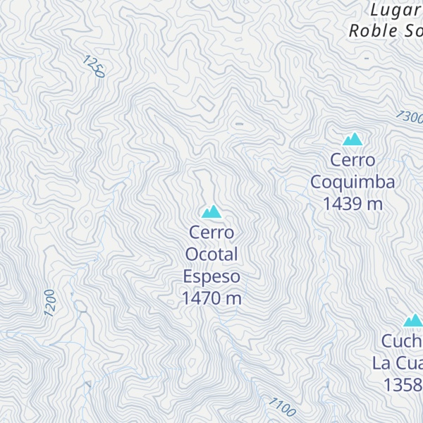 Map of Cerro Ocotal Espeso
