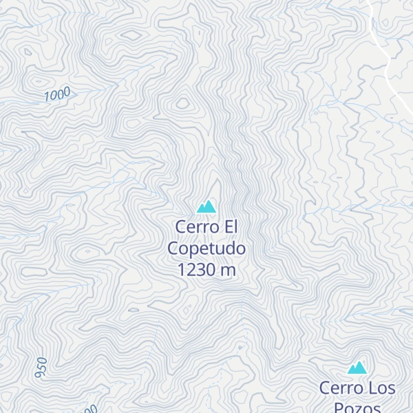 Map of Cerro El Copetudo