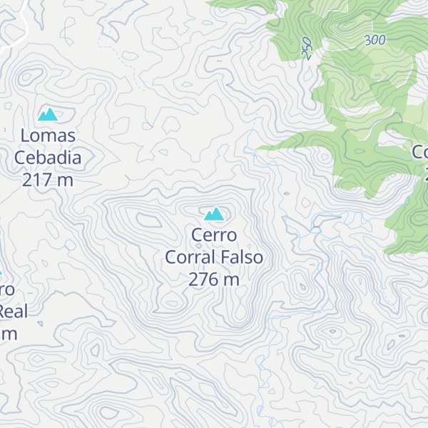 Map of Cerro Corral Falso