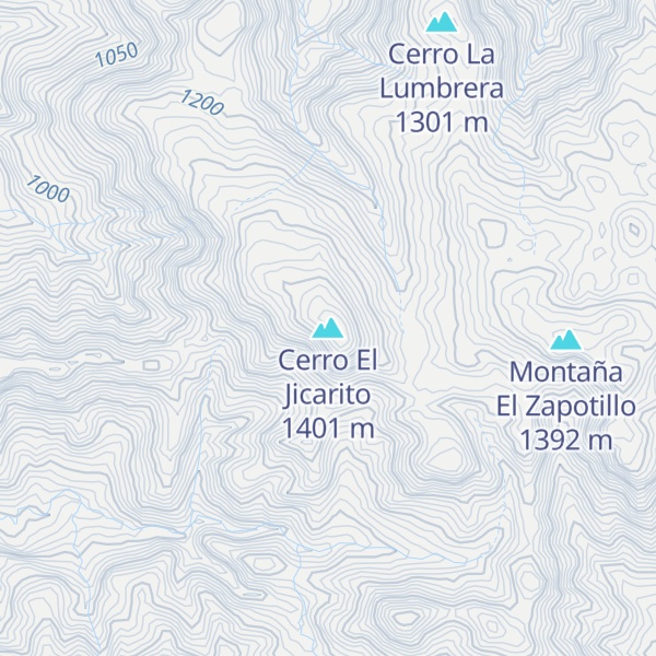Map of Cerro El Jicarito