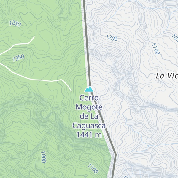 Map of Cerro Mogote de La Caguasca