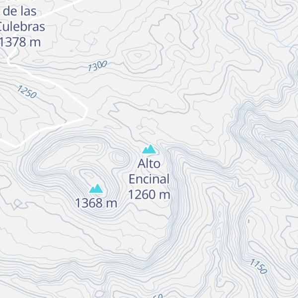 Map of Alto Encinal