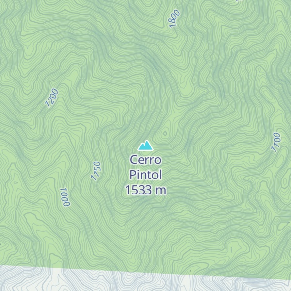 Map of Cerro Pintol