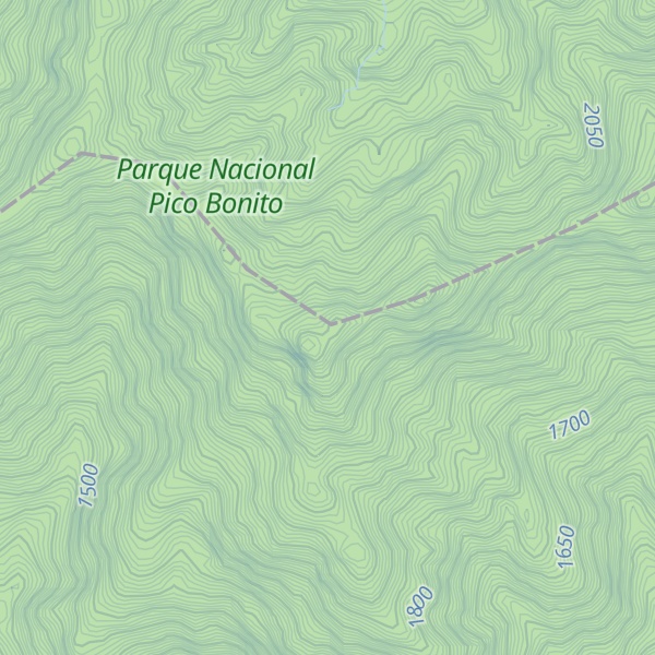 Map of Cerro Corozal