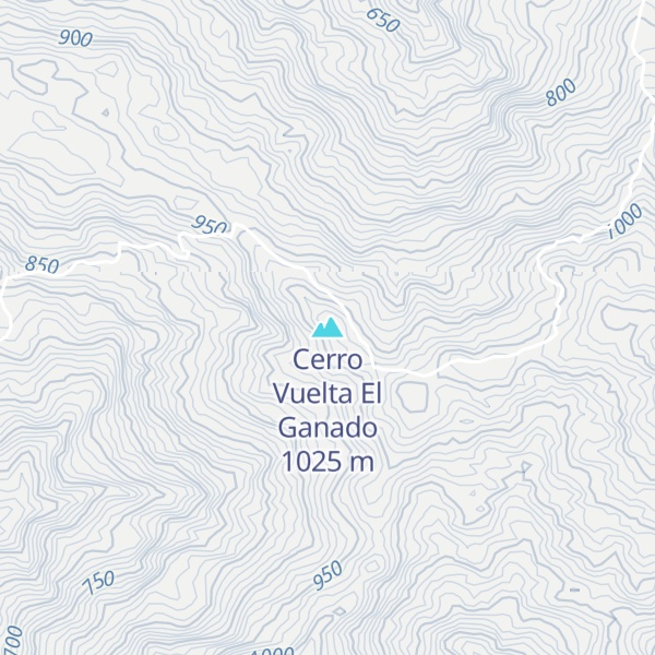 Map of Cerro Vuelta El Ganado