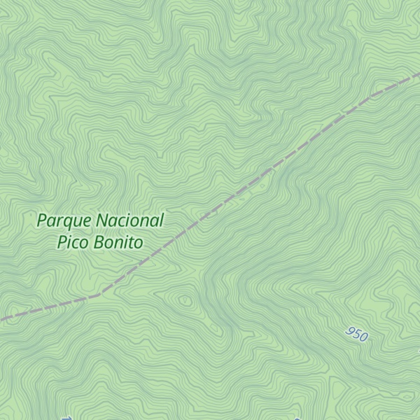 Map of Cerro Jesús
