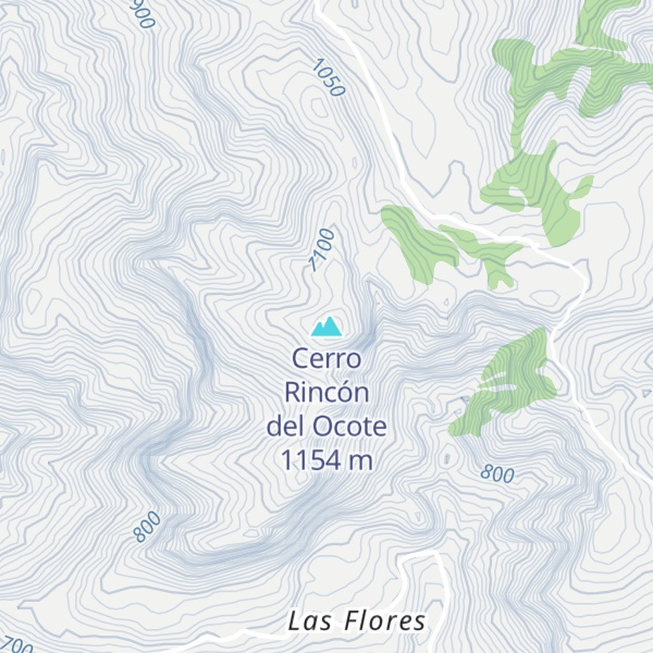Map of Cerro Rincón del Ocote