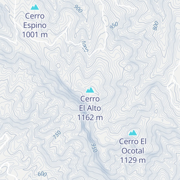Map of Cerro El Alto