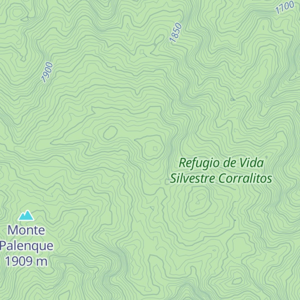 Map of Cerro Corralitos