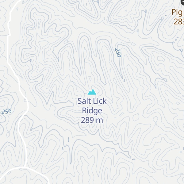 Map of Salt Lick Ridge