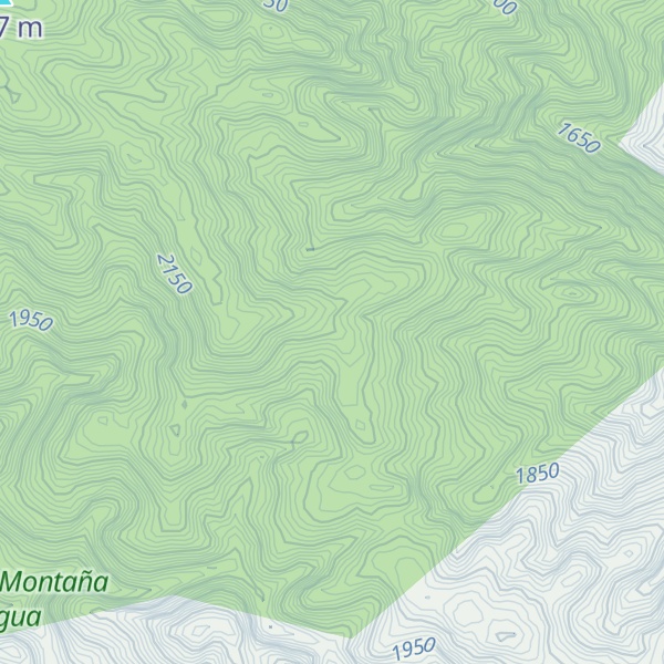 Map of Cerro Negro