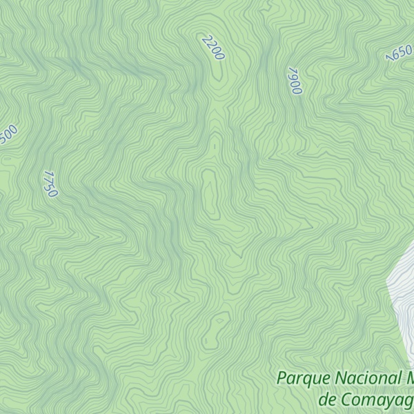 Map of Cerro Plan de La Laguna