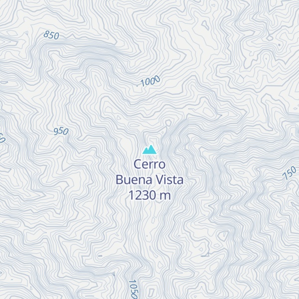 Map of Cerro Buena Vista