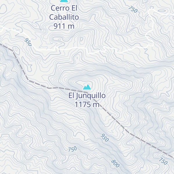 Map of El Junquillo
