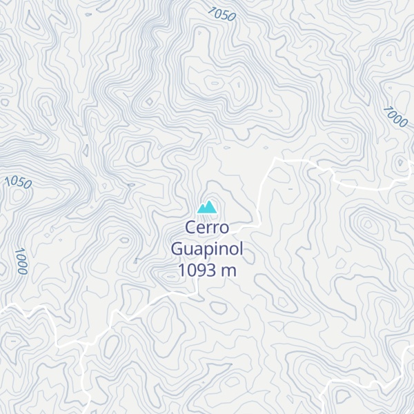 Map of Cerro Guapinol