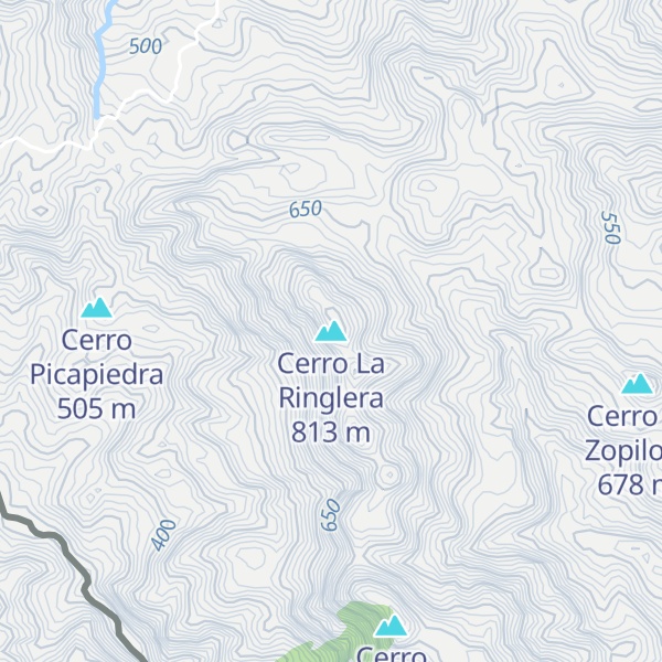 Map of Cerro La Ringlera