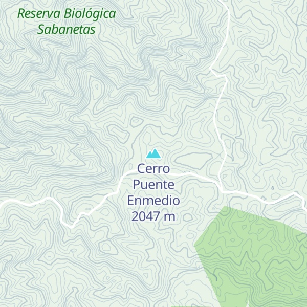 Map of Cerro Puente Enmedio