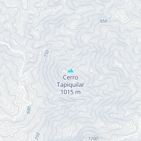 Map of Cerro Tapiquilar