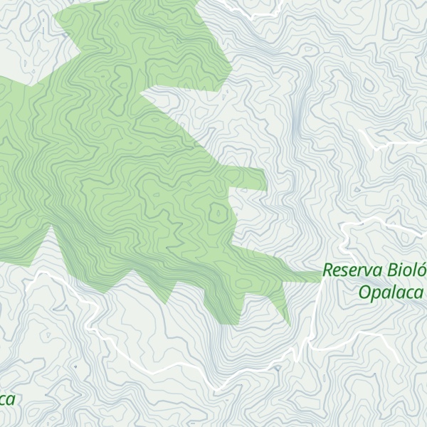 Map of Cerro Cordero