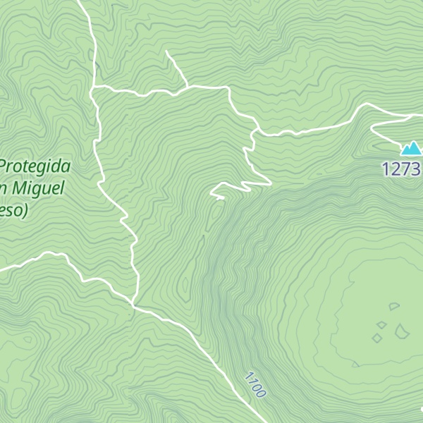 Map of Cerro El Pacayal