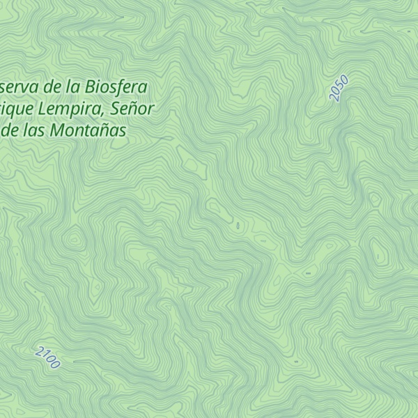 Map of Cerro Bejuco