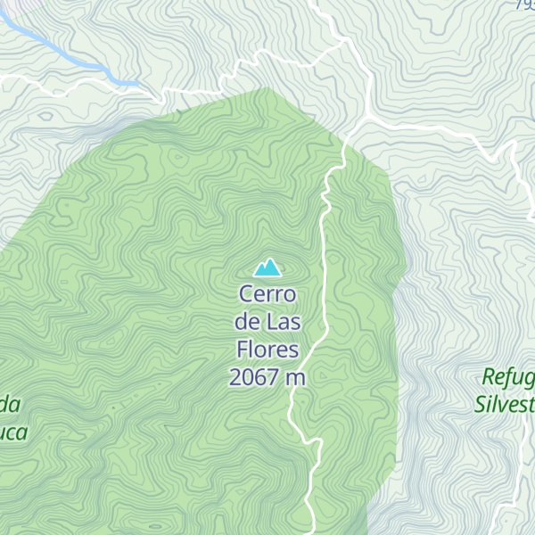 Map of Cerro de Las Flores