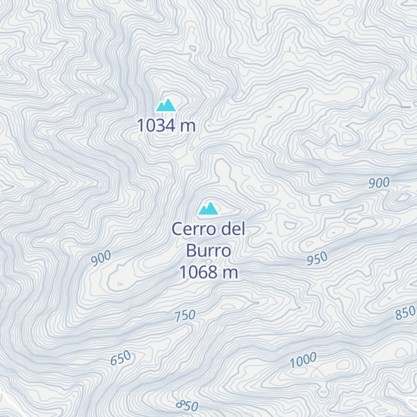 Map of Cerro del Burro